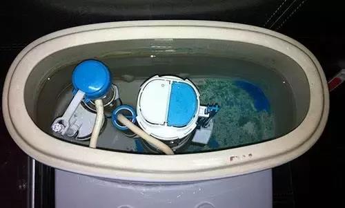 說說,家中,馬桶,漏水,那點(diǎn),事,馬桶,漏水,不僅, . 說說家中馬桶漏水那點(diǎn)事